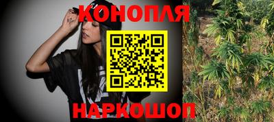 гашик Краснодар