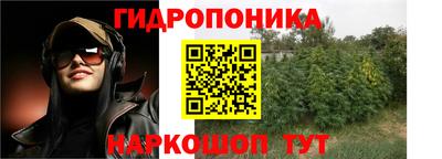 прущие крисы Комсомольск-на-Амуре