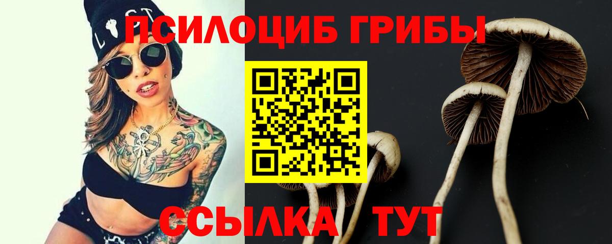 Галлюциногенные грибы Psilocybe  Вход с VPN  Псилоцибиновые грибы Cubensis  Кизляр 